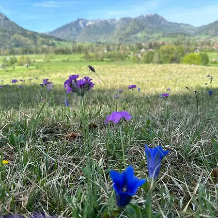 Eva Inkl. Chiemgaukarte * Ruhpolding