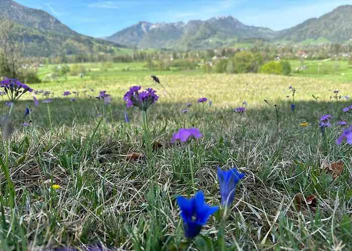 Eva Inkl. Chiemgaukarte * Ruhpolding